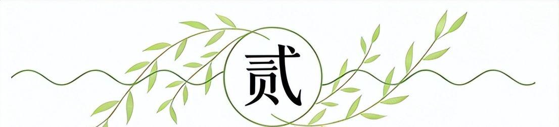 大爹杨瀚森，让中国男篮有了容错空间